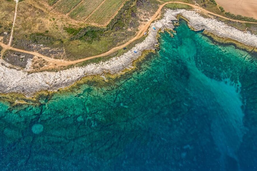 Fazana: Brijuni National Park Scenic Boat Tour & Swimming - Key points to know before booking