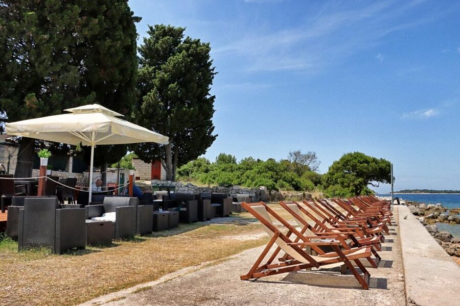 Fazana: Brijuni National Park Scenic Boat Tour & Swimming - Who will enjoy this boat trip most