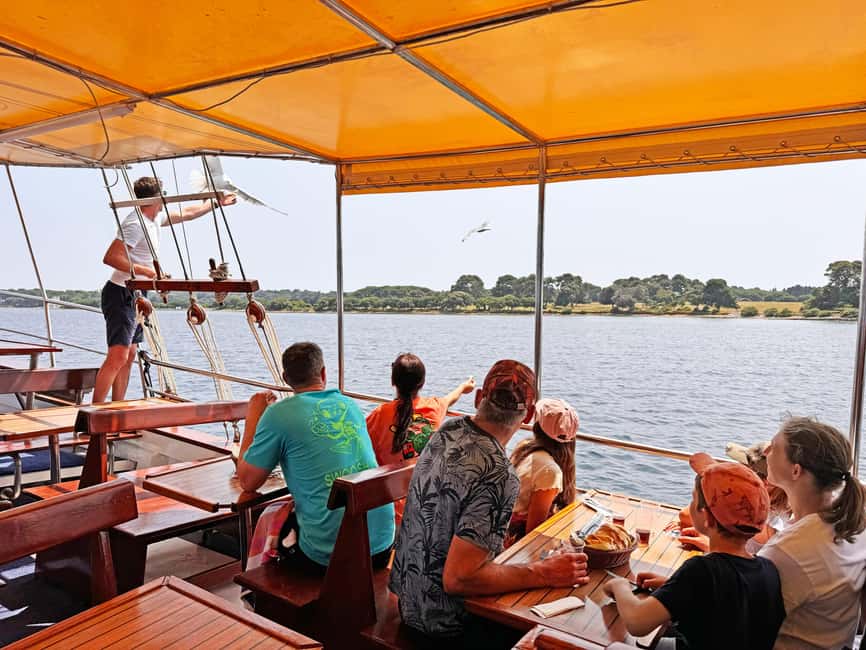 Fazana: Dolphin Finder in Brijuni islands Safari with Dinner - Setting out from Fažana’s lighthouse pier