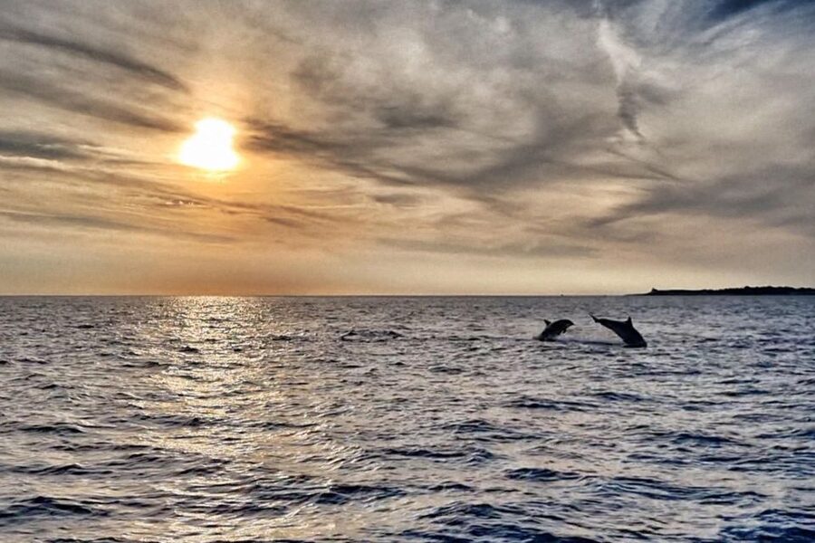 Fazana: dolphin safari and sightseeing in Brijuni at sunset - Setting out from Fazana’s main pier