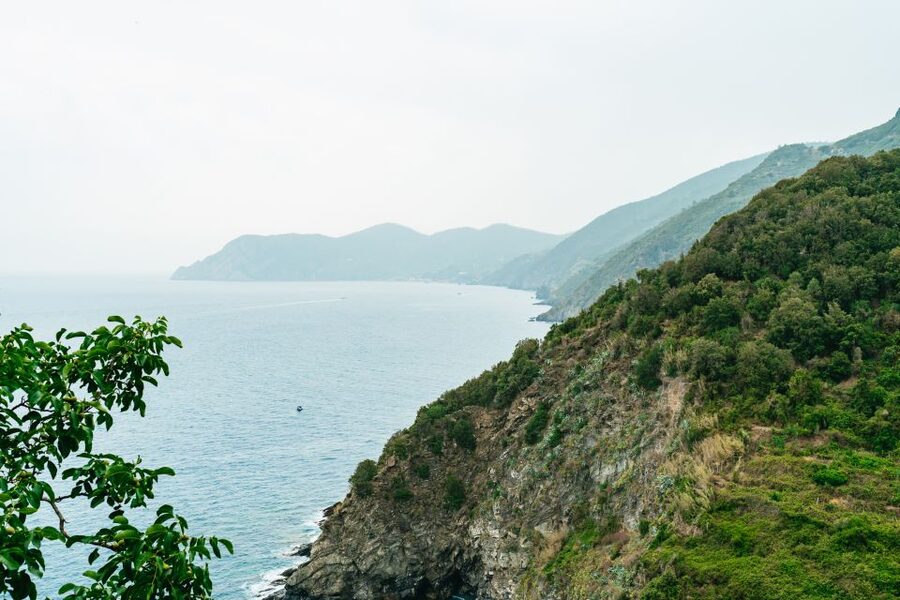Florence: Cinque Terre Day Trip with Optional Hiking or Pisa - Vernazza offers the classic postcard moment