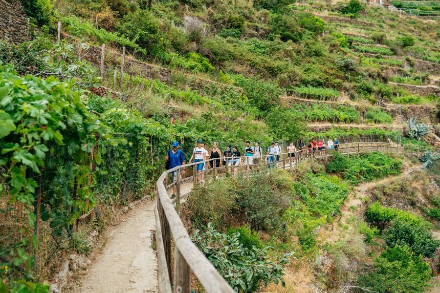 Florence: Cinque Terre Day Trip with Optional Hiking or Pisa - Manarola starts the coastal story