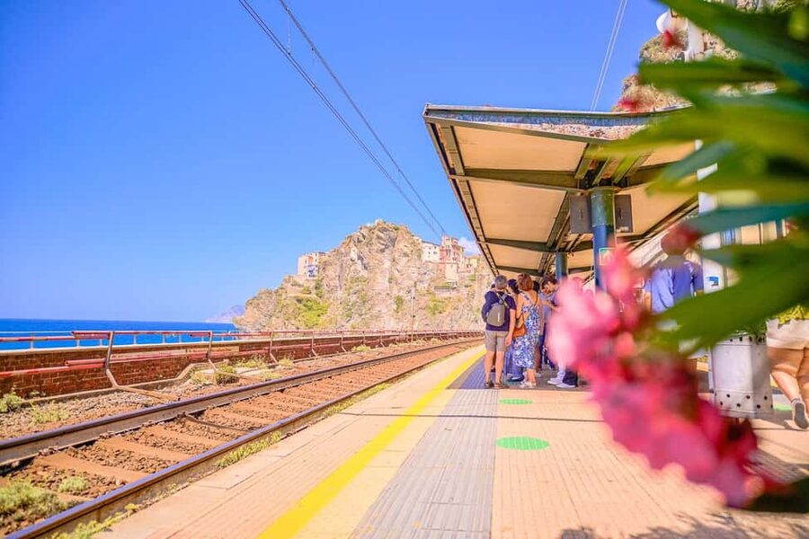 Florence: Full day Tour to Cinque Terre and Pisa - Key points to know before booking