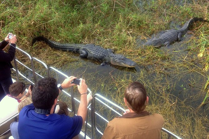 Florida Everglades Airboat Tour and Wild Florida Admission with Optional Lunch - Searching for alligators and birds