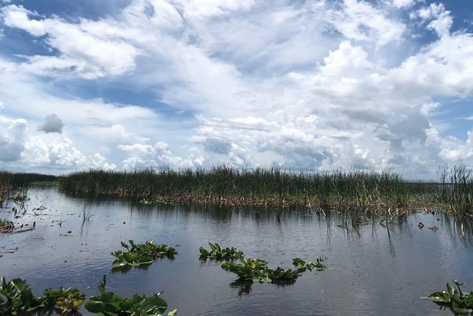 Florida Everglades Airboat Tour and Wild Florida Admission with Optional Lunch - Exploring more than 200 animals at the park