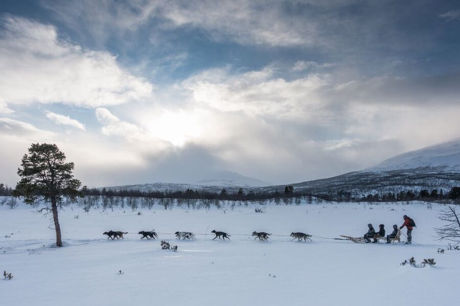 From Abisko: Dog Sledding Excursion to Kiruna with Fika - Two hours and 10 to 12 kilometers behind the dogs