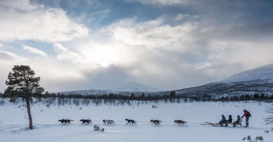 From Abisko: Dog Sledding Excursion to Kiruna with Fika - The ride back to Abisko