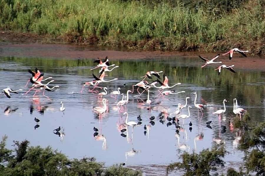 From Agadir: Souss-Massa National Park Tour with Lunch - Who will enjoy this tour most?