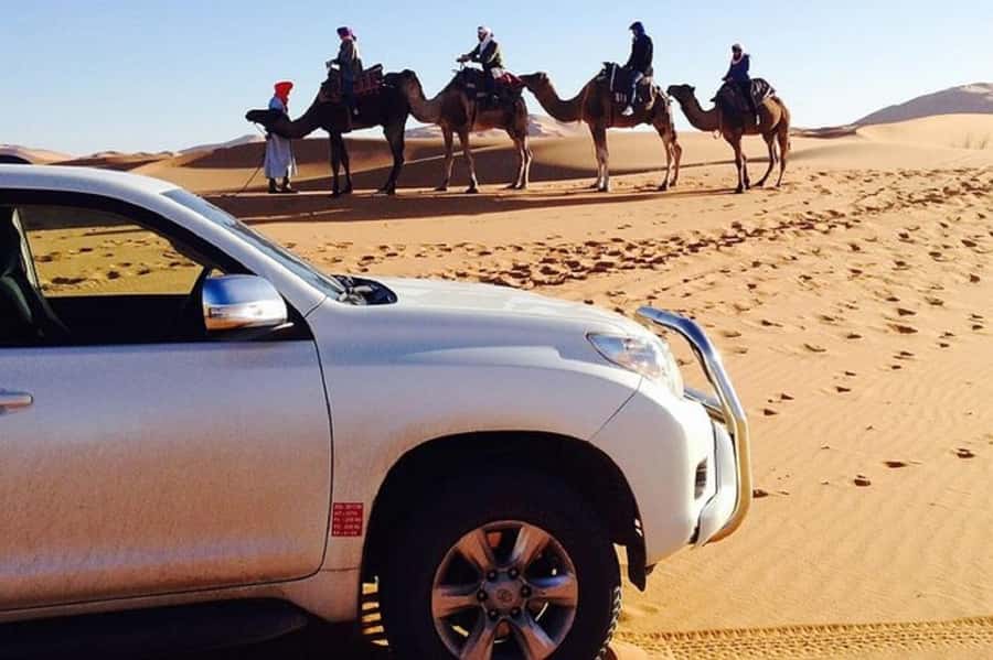 From Agadir: Souss-Massa National Park Tour with Lunch - Why Souss-Massa makes a good day out from Agadir
