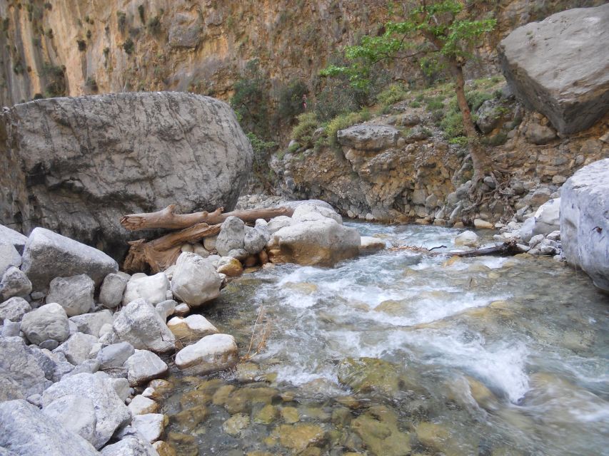 From Agia Galini/Matala: Samaria Gorge Hiking Tour - Starting the hike at 1,200 meters