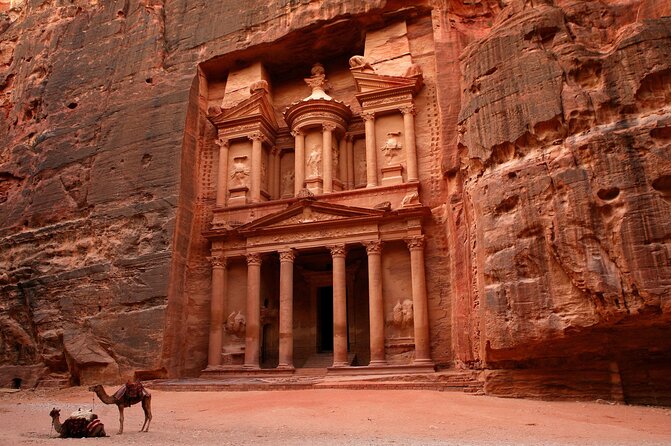 From Amman: Petra and Wadi rum Full day Tour - Why the driver matters so much