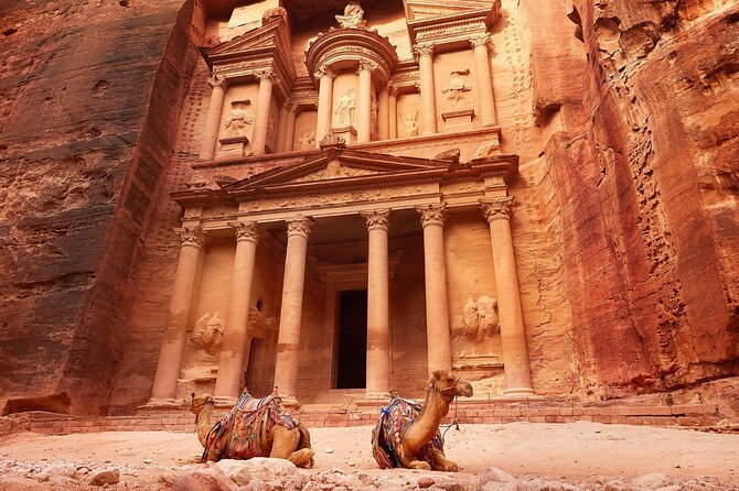 From Amman: Petra and Wadi rum Full day Tour - Price, extra costs, and real value