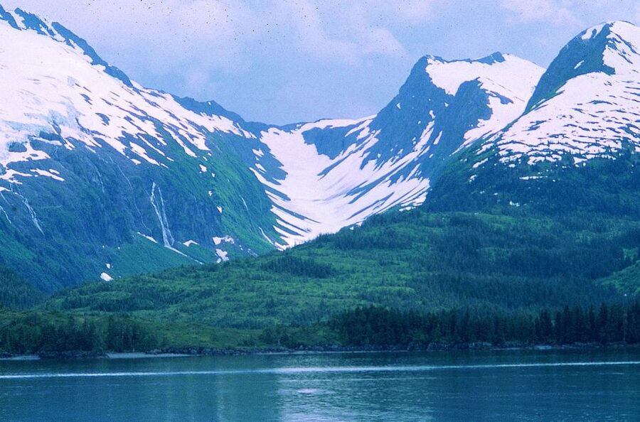 From Anchorage: Wilderness, Wildlife, & Glacier Experience - Alaska Wildlife Conservation Center: the most reliable animal viewing
