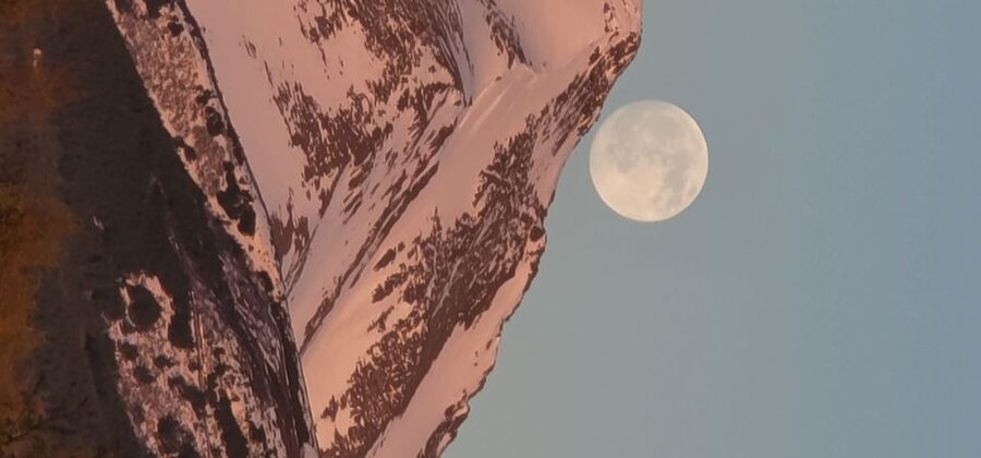 From Anchorage: Wilderness, Wildlife, & Glacier Experience - Photography help that is actually useful
