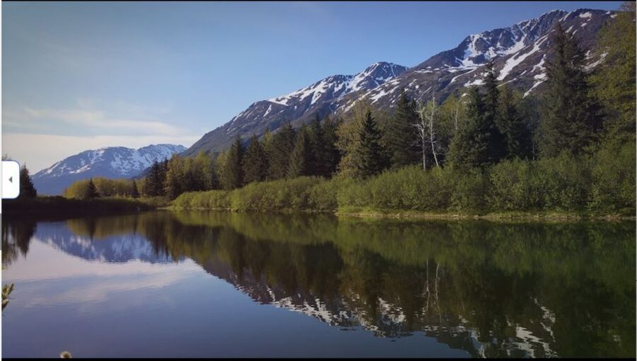 From Anchorage: Wilderness, Wildlife, & Glacier Experience - Beluga Point and the first coastal views