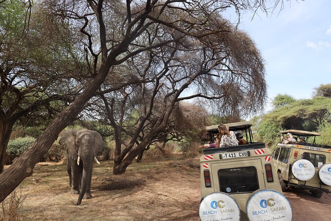 From Arusha: 6 Day Classic Game Drive Serengeti & Ngorongoro - Why this route works so well in six days