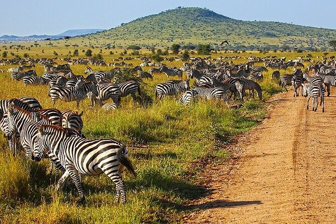 From Arusha: 6 Day Classic Game Drive Serengeti & Ngorongoro - What the $2,864 price really covers