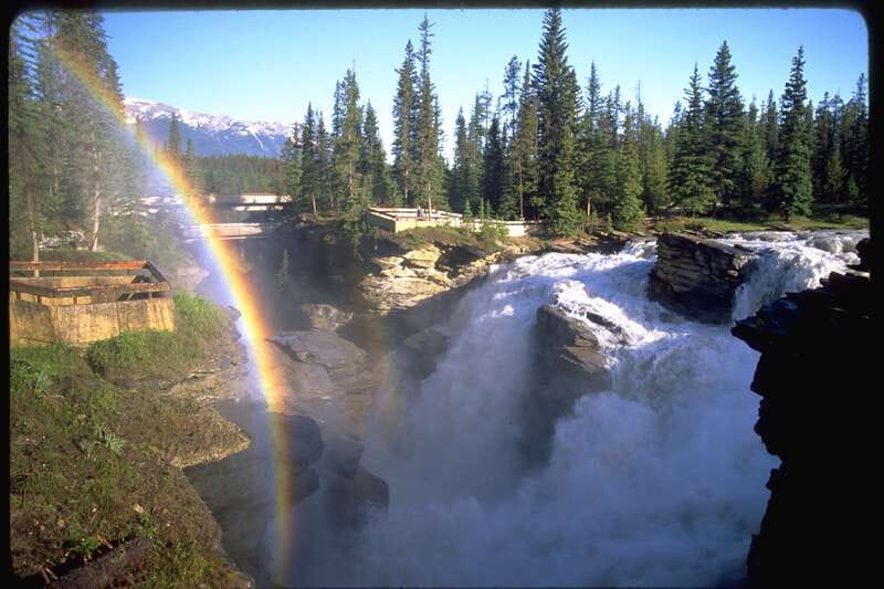 From Banff/Lake Louise: 1-Way Sightseeing Tour to Jasper - The Columbia Icefield adds the big-ticket experiences