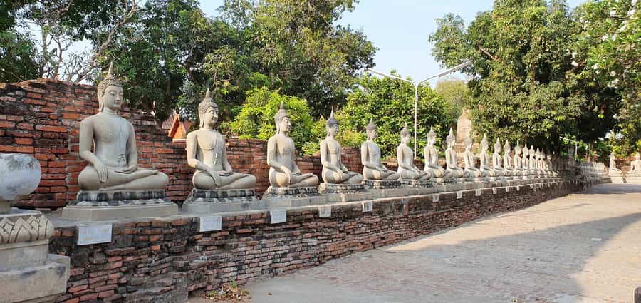 From Bangkok: Ayutthaya & Khao Yai National Park Day Trip - Key points to know before booking
