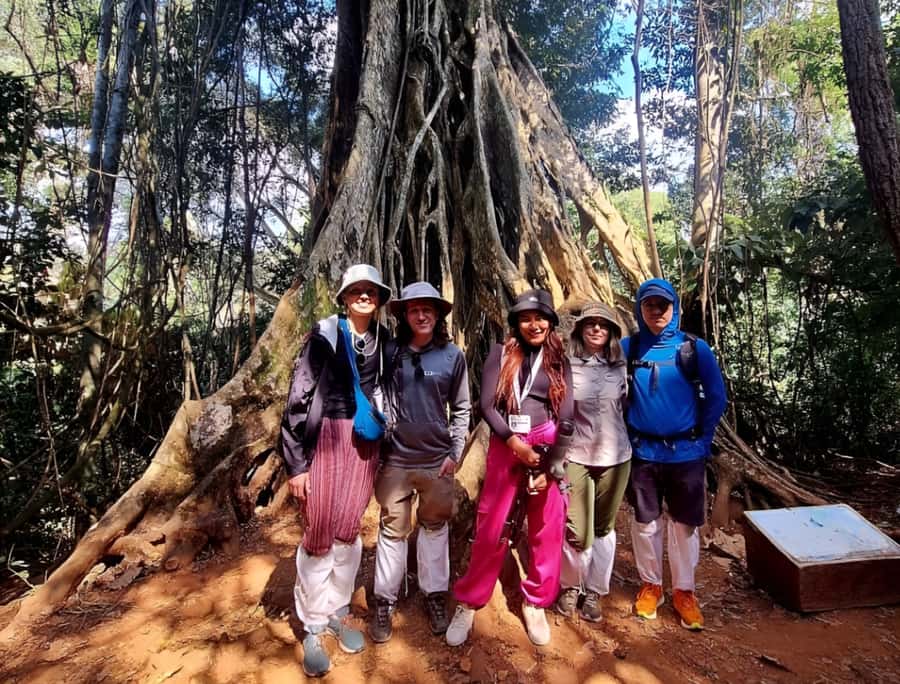 From Bangkok: Khao Yai National Park Jungle Trek with Lunch - Key points at a glance