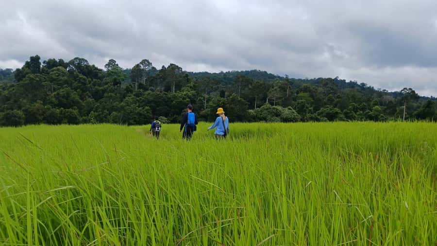 From Bangkok: Khao Yai National Park Jungle Trek with Lunch - Why Khao Yai makes a good Bangkok escape