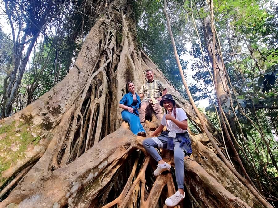 From Bangkok: Khao Yai National Park Jungle Trek with Lunch - Haew Suwat Waterfall and Lam Ta Khong