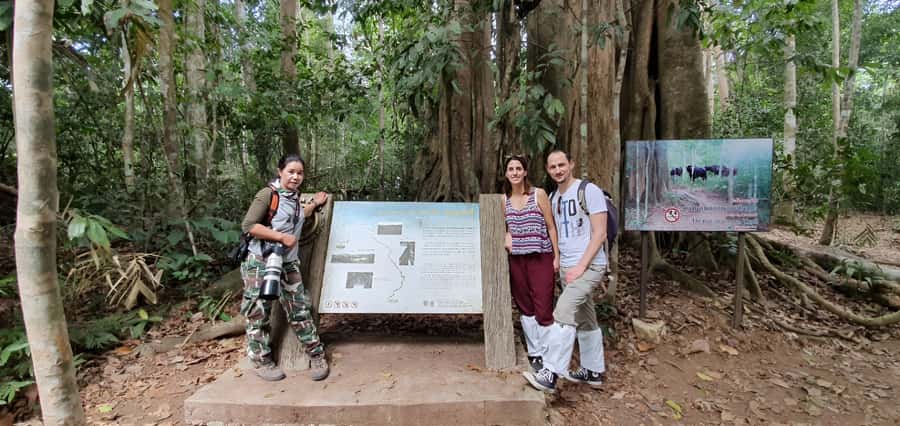 From Bangkok: Khao Yai National Park Jungle Trek with Lunch - Who should book this forest trip