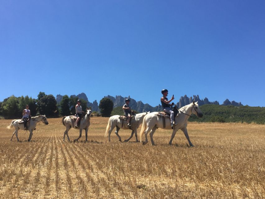 From Barcelona: Horseback Tour in Montserrat National Park - Meeting the mountain at Montserrat Abbey