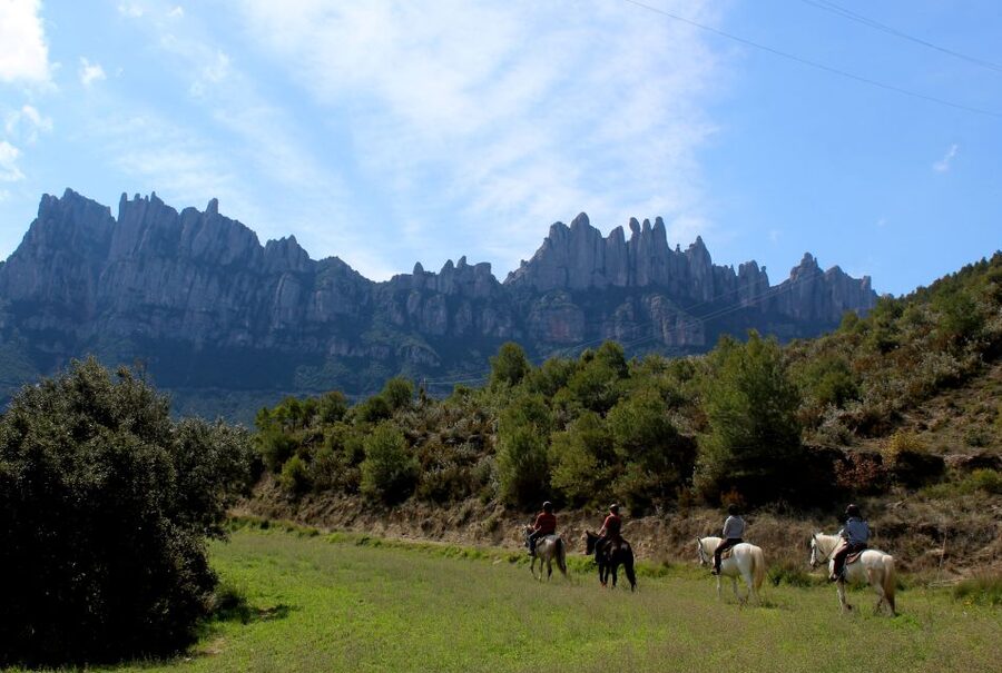 From Barcelona: Horseback Tour in Montserrat National Park - Forty-five minutes for local products and a quick pause