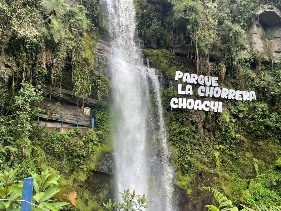 From Bogotá: Chingaza National Park Eco Tour - Walking the Rincón del Oso Trail