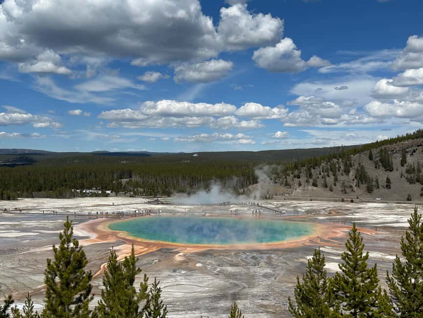 From Bozeman: Yellowstone Day Tour (Lower Loop) - Why the lower loop works as a first day