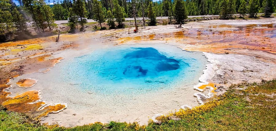 From Bozeman: Yellowstone Day Tour (Lower Loop) - Fountain Paint Pot and Yellowstone’s hot ground