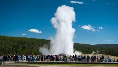 From Bozeman: Yellowstone Day Tour (Lower Loop)