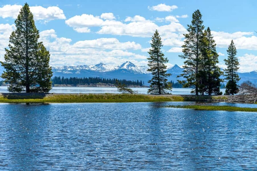 From Bozeman: Yellowstone Day Tour (Lower Loop) - Yellowstone Lake and the included scenic cruise