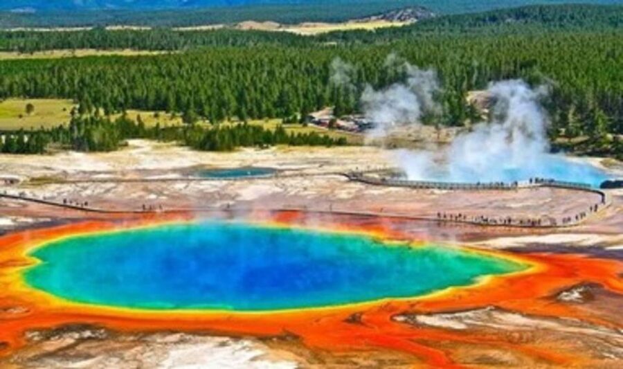 From Bozeman: Yellowstone Day Tour (Lower Loop) - What the $469 price includes