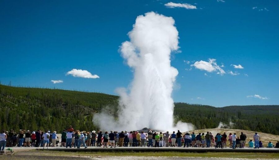 From Bozeman: Yellowstone Day Tour (Lower Loop) - Starting early from Bozeman or Big Sky