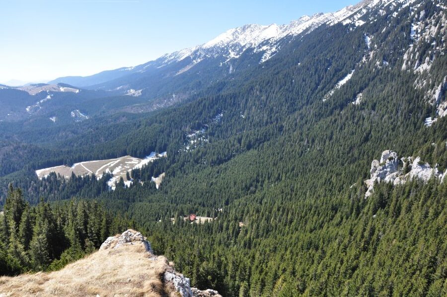 From Brasov: Piatra Craiului National Park Private Day Tour - Is $111 a fair price?