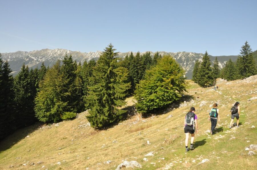From Brasov: Piatra Craiului National Park Private Day Tour - Choosing your route in Piatra Craiului