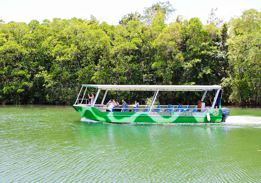 From Cairns: Daintree Wilderness & Cape Tribulation Bus Tour - Key points to know before booking