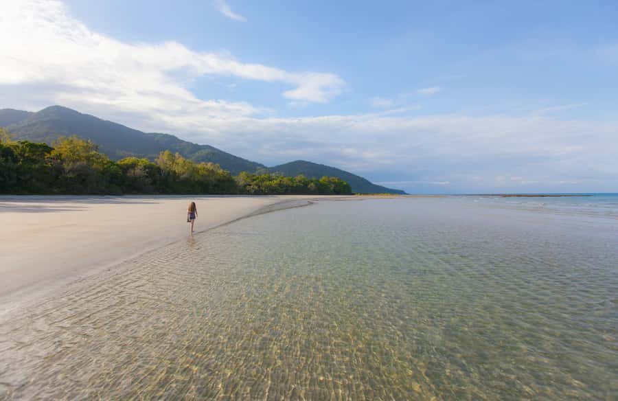 From Cairns: Daintree Wilderness & Cape Tribulation Bus Tour - Crossing the Daintree River by cable ferry
