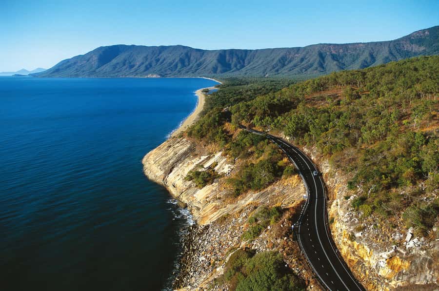 From Cairns: Daintree Wilderness & Cape Tribulation Bus Tour - What the $180 price really includes