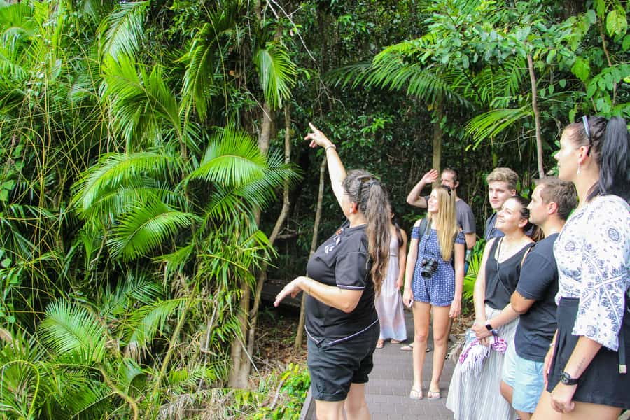 From Cairns: Daintree Wilderness & Cape Tribulation Bus Tour - Wildlife Habitat: a useful start, with one important caveat