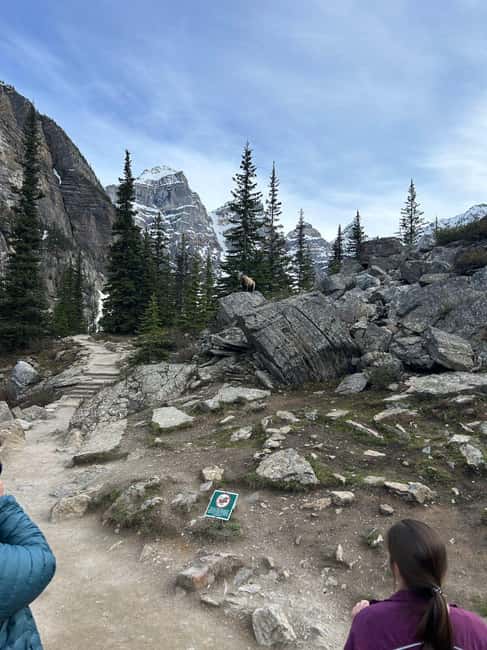 From Calgary/Banff: Moraine Lake & Lake Louise Half-Day Tour - Is 90 minutes enough at each lake?