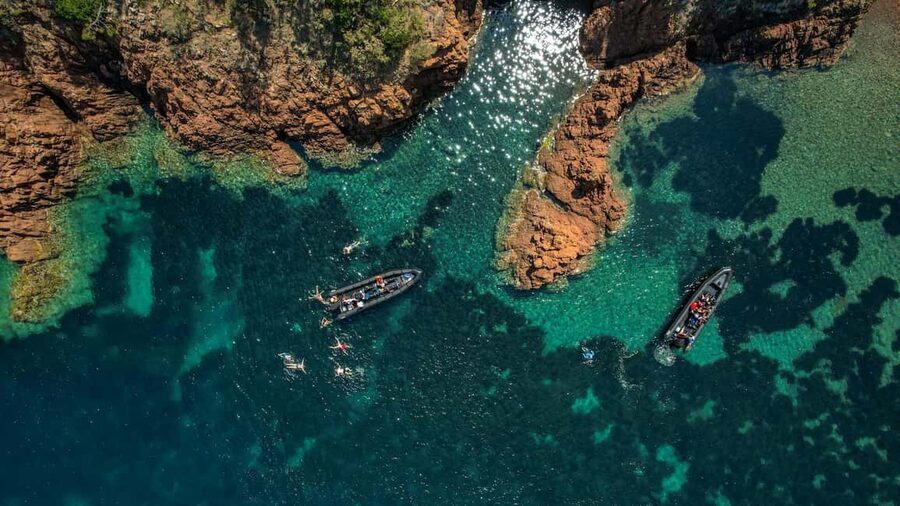 From Cannes: Essential Calanques de l'Estérel Sea Excursion - Choosing the best time and understanding the value