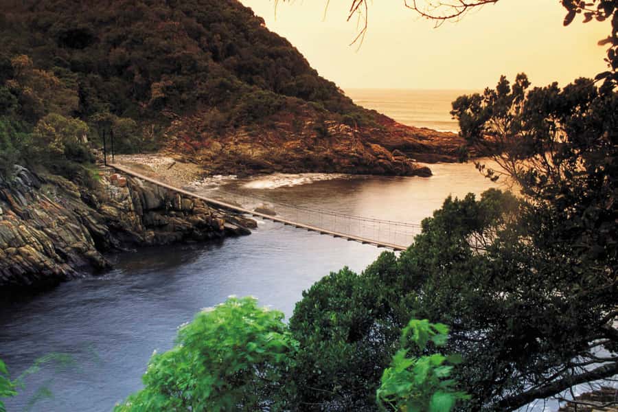 From Cape Town: 5-Day Best of Garden Route and Addo Safari - What makes this five-day trip worth considering