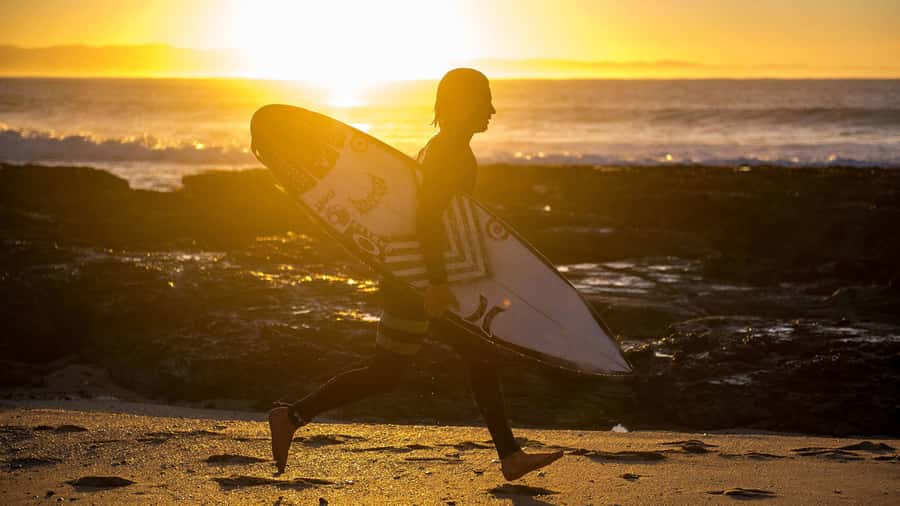 From Cape Town: 5-Day Best of Garden Route and Addo Safari - Day 4: Tsitsikamma gives you the choice of thrill or quiet