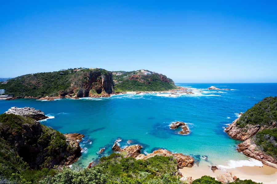 From Cape Town: 5-Day Best of Garden Route and Addo Safari - Day 5: The Botlierskop 4x4 safari is the wildlife finale