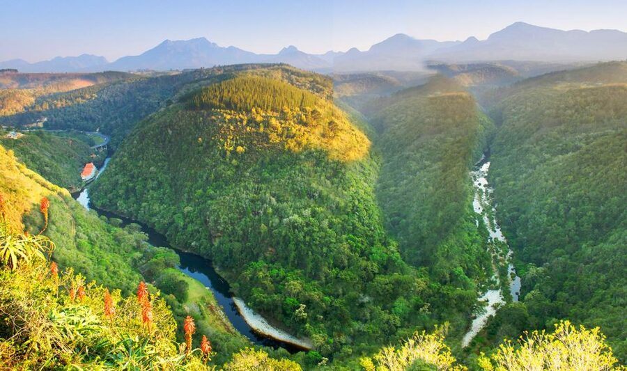 From Cape Town: 5-Day Best of Garden Route and Addo Safari - The guides can shape the entire trip