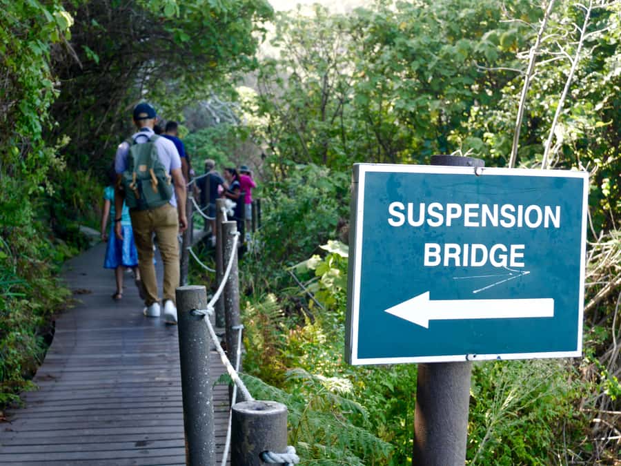 From Cape Town: 5-Day Best of Garden Route and Addo Safari - Day 1: Route 62 replaces the direct highway