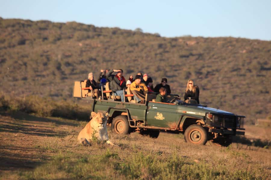 From Cape Town: 5-Day Garden Route & Addo Elephant Park Tour - Day one: Cango Caves, ostriches and the Little Karoo